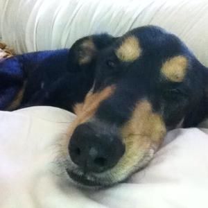 Meet your Posher, Lori